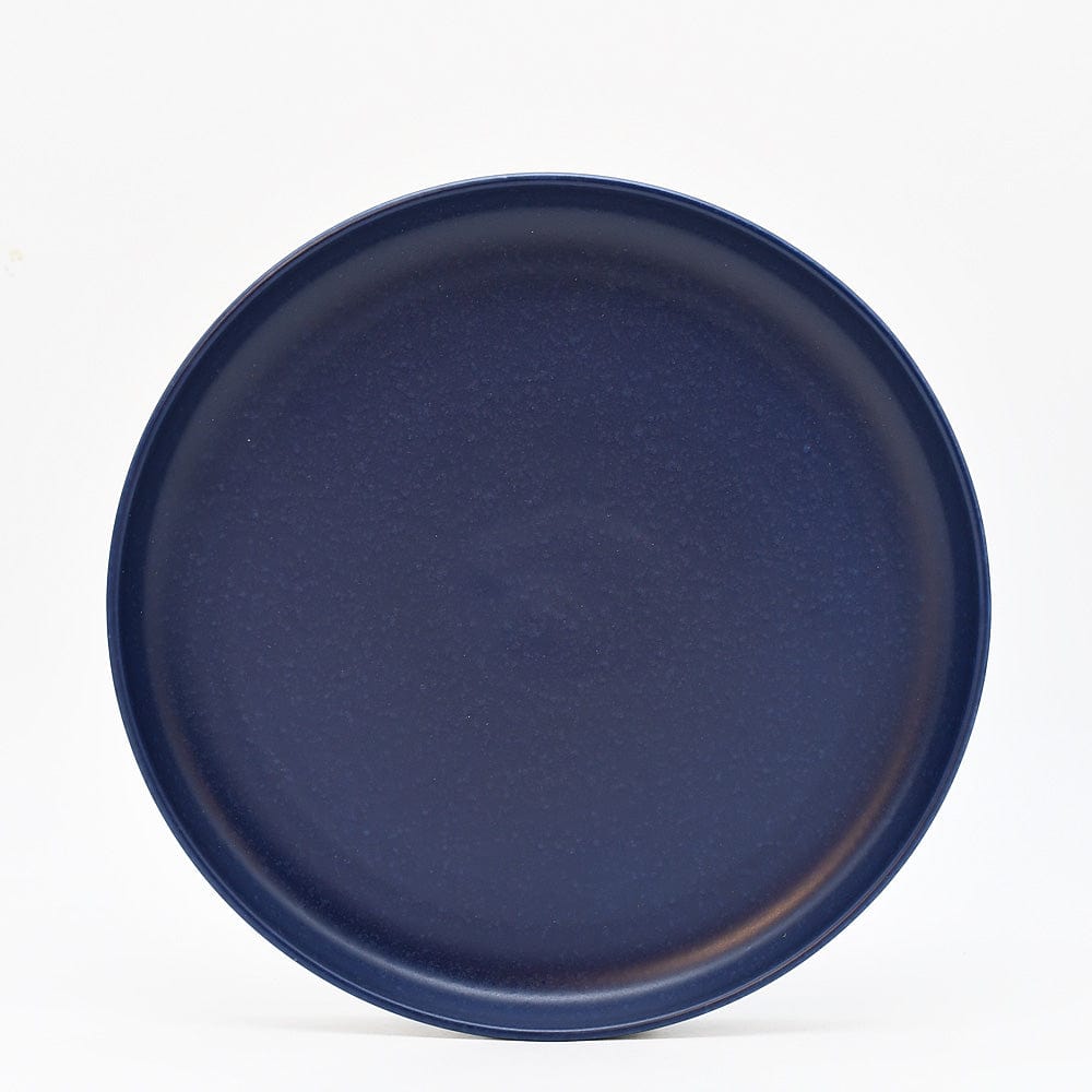 Pacifica I Stoneware Dinner Plate - Blue