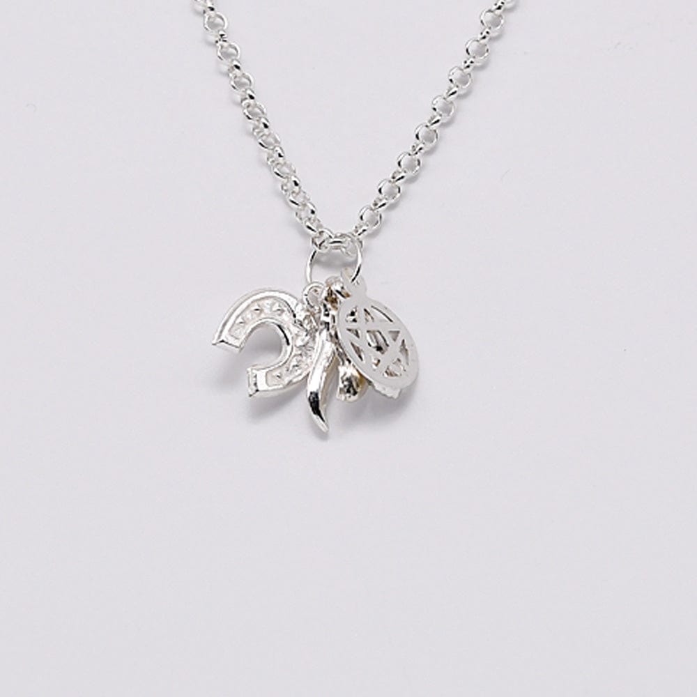 Set of 5 Lucky Charms in Silver 0.5 oz