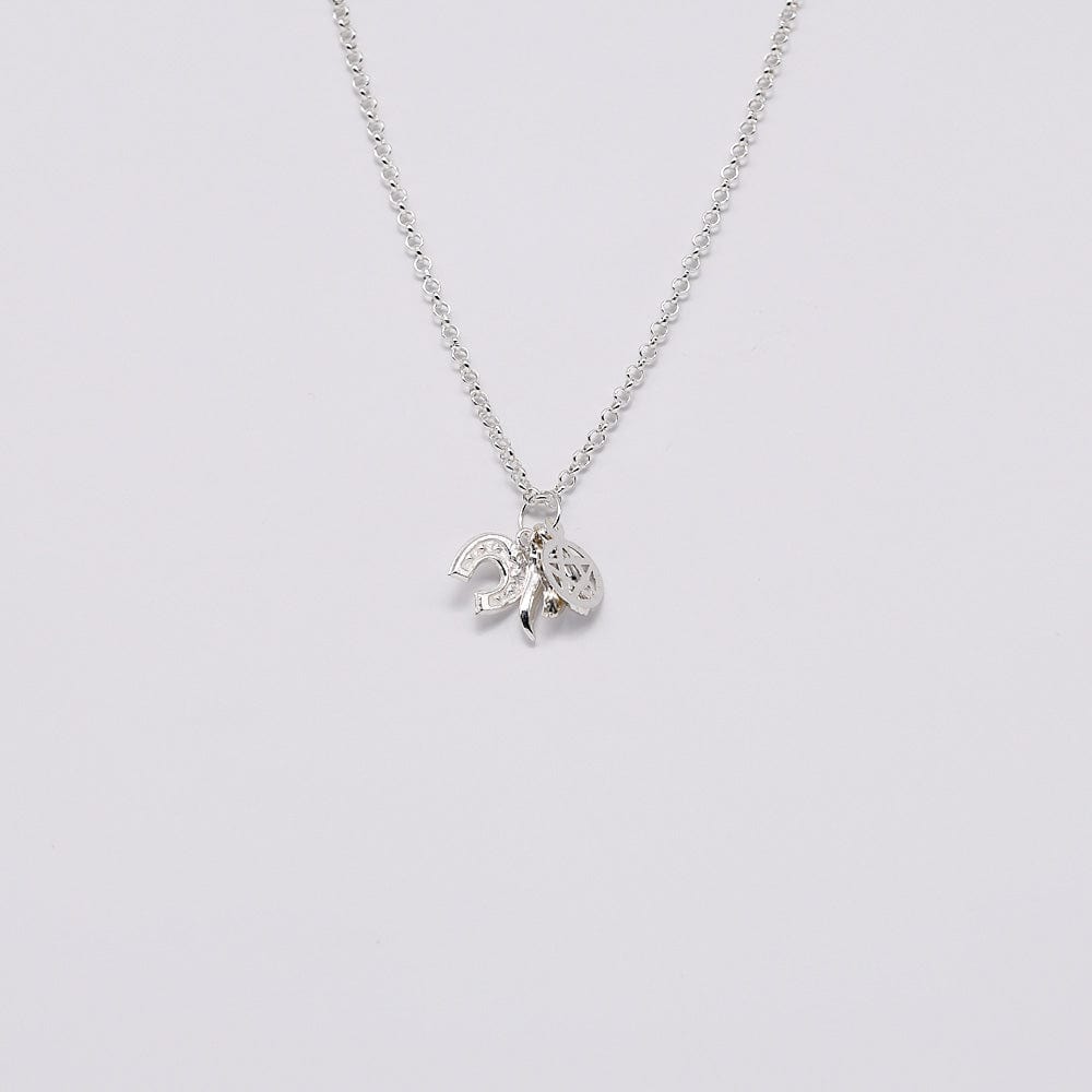 Set of 5 Lucky Charms in Silver 0.5 oz