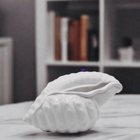 Ceramic Seashell 9.5" - White