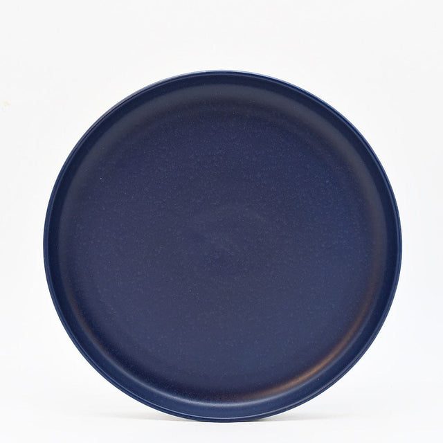 Pacifica I Stoneware Dinner Plate - Blue