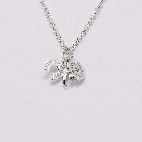 Set of 5 Lucky Charms in Silver 0.5 oz