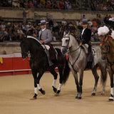 Traditional Portuguese Toreiro Hat - Brown