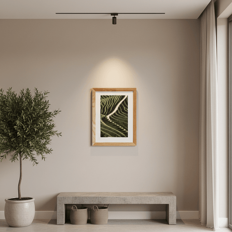 Vineyards I Fine Art Photo by João Cabral